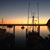 Sharon Collipriest's profile image