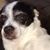 Rebecca Harris's profile image