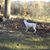 Stacey Staton Stewart's profile image