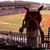 Don Keesee's profile image