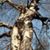 Tree Tomsen's profile image