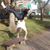 Trimmy Turner's profile image