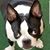 Perry Garrett's profile image
