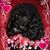 Nora Hession Stevens's profile image
