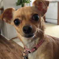 Ruth Ann Ryman Burns's profile image