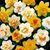 Debbie Rial-Astle's profile image