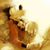 Amit Bansal's profile image