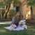 Monica L. Mingote's profile image