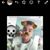 Rogelio ML's profile image
