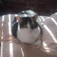 Kate Green's profile image