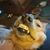 Dee George O'Donovan's profile image