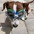 Kimberly Jones's profile image