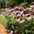 Sue Krause's profile image