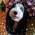 Teresa L. Nicholas-Neil's profile image