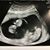 LeAnne Steadman Fields's profile image