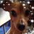 Bernie Roig's profile image
