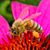 Tricia Nale Grunick's profile image