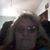 Valarie Finland's profile image