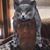 Jim Dorsch's profile image