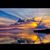 Diane Tidwell's profile image
