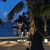 Denise Paschoarelli's profile image