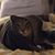David Deimler's profile image