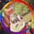 Eliza Lowther Hadley's profile image