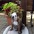 Karen Sweatt's profile image