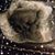 Deb Jacob's profile image