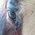 Teresa Chick's profile image