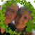 Mandy Boone's profile image