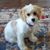 Colleen Fagan Szykuc's profile image