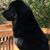 Brenda Lott's profile image