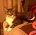 Kim Hannon Walter's profile image