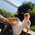 Yuliya Van de Sande's profile image