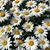 Barbara Beckerle Curtis's profile image