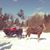 Carol L. Hall's profile image