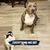 Nikki Rox's profile image
