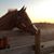Rhonda Ashman Graves's profile image