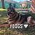 Lu Ann Francesco McAteer's profile image