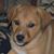 Rhonda Stogner's profile image