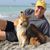 Ralph Arnsdorf's profile image