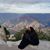 Jennifer Harbaugh's profile image