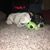 Checkers Teale's profile image