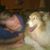 Junior Pender's profile image