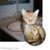 Denise Bligh's profile image