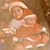 Jenny Lynn Zurbriggen's profile image