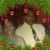 Patricia Jacksonlemon's profile image