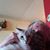 Shirley Sonnichsen's profile image