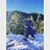 Carlos Sanchez's profile image
